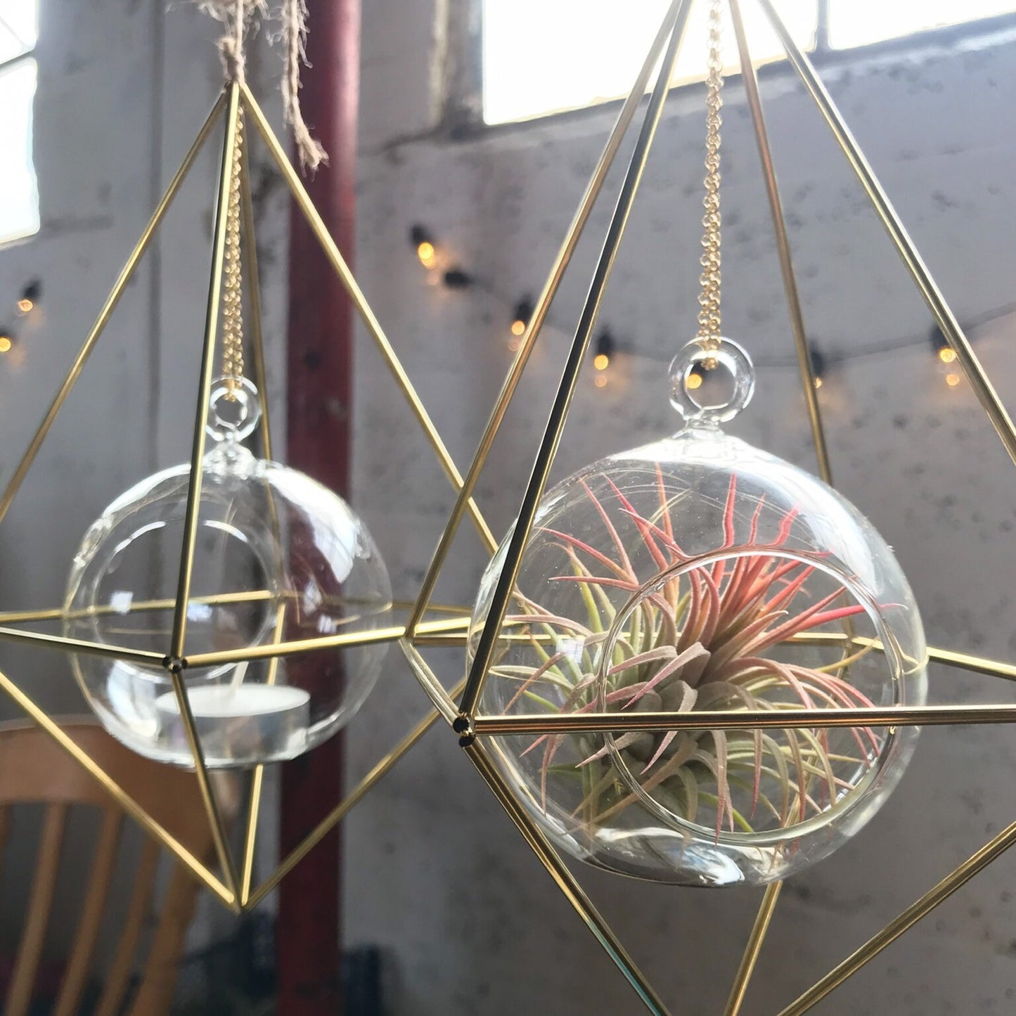 Geometric Air Plant/Tea light Hanger