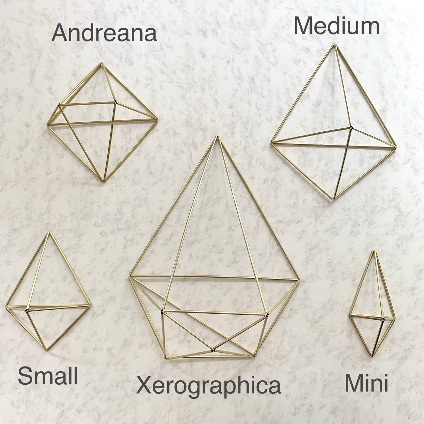 Medium Air Plant Holder Wall Sconce (without plant)