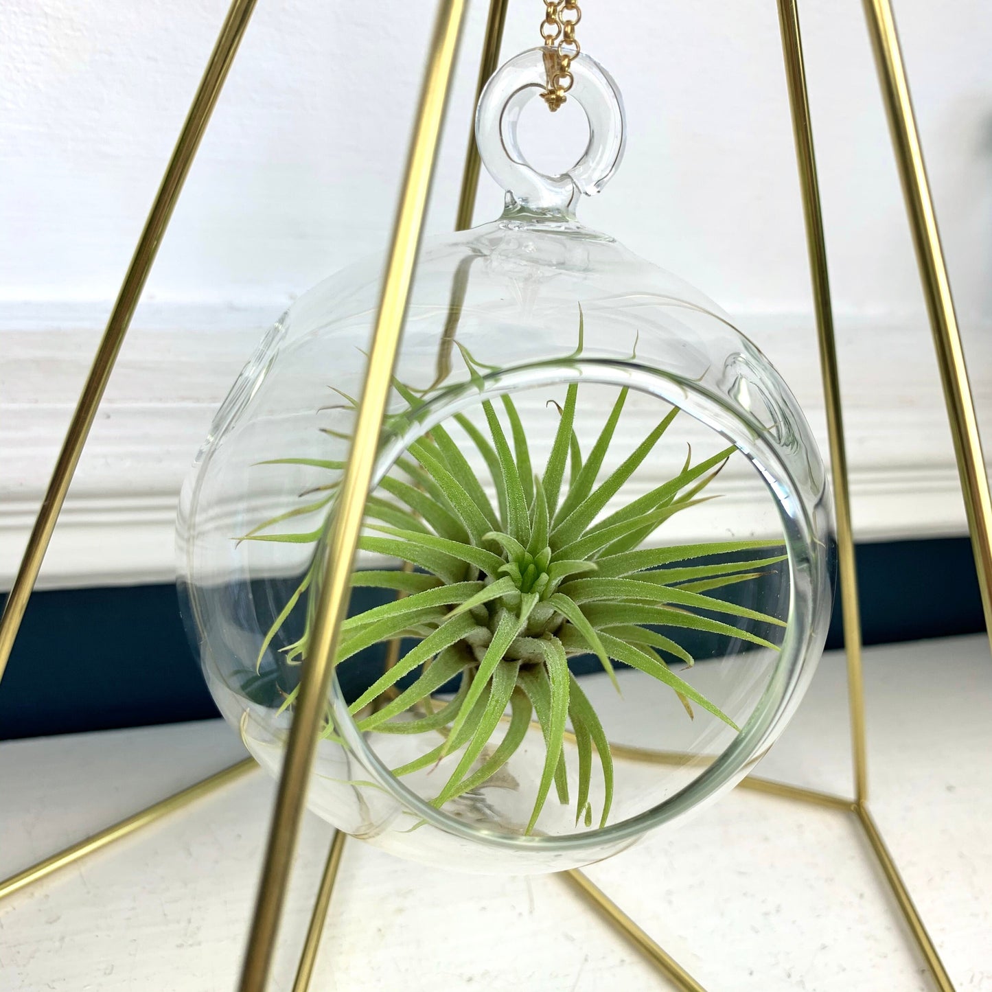 Standing Geometric Air Plant/Tea Light Holder