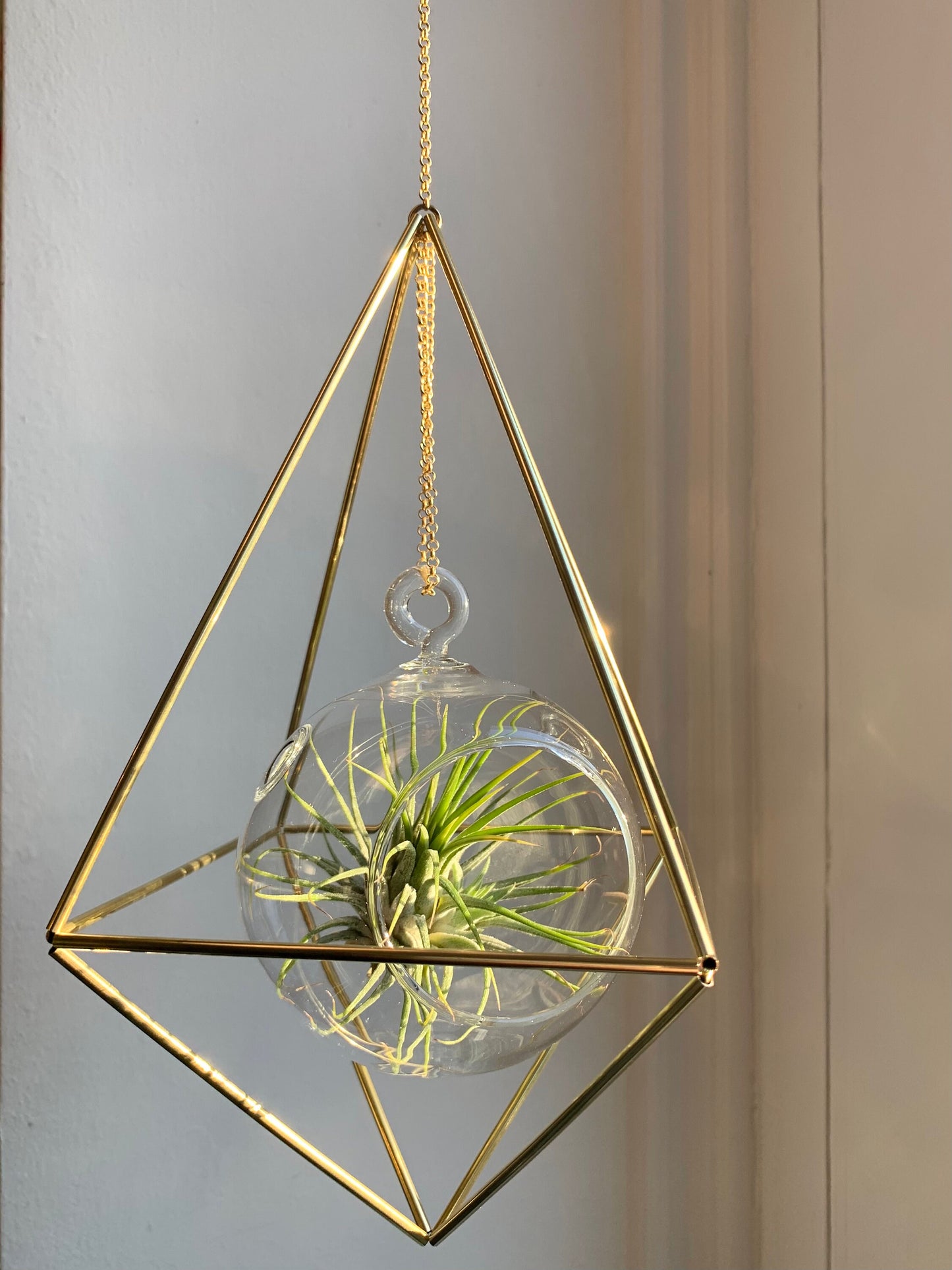 Geometric Air Plant/Tea light Hanger