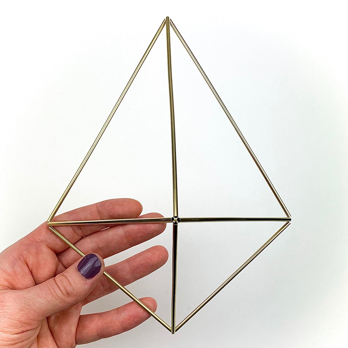 Medium Air Plant Holder Wall Sconce (without plant)