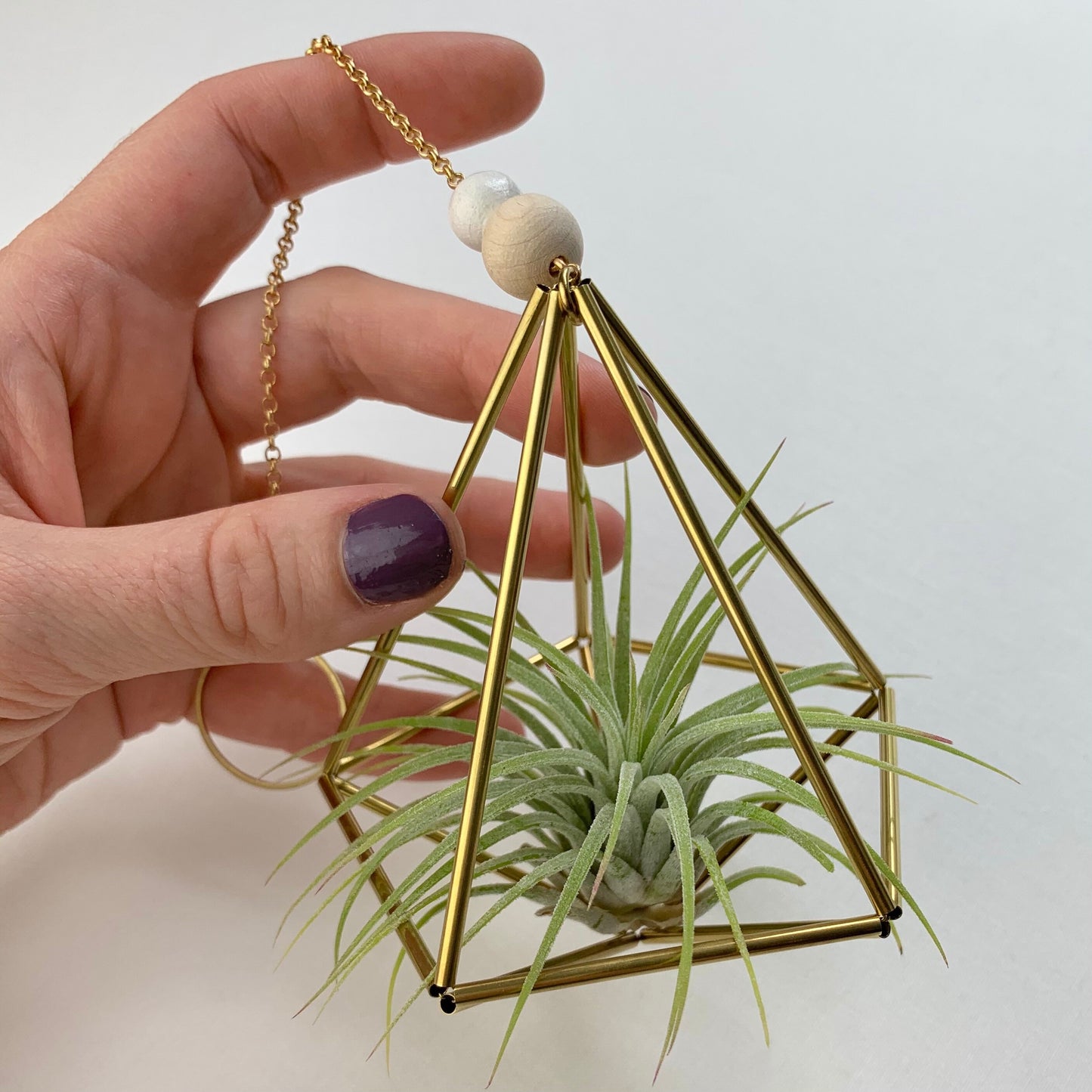 Small Brass Decahedron Air Plant Hanger (without plant)