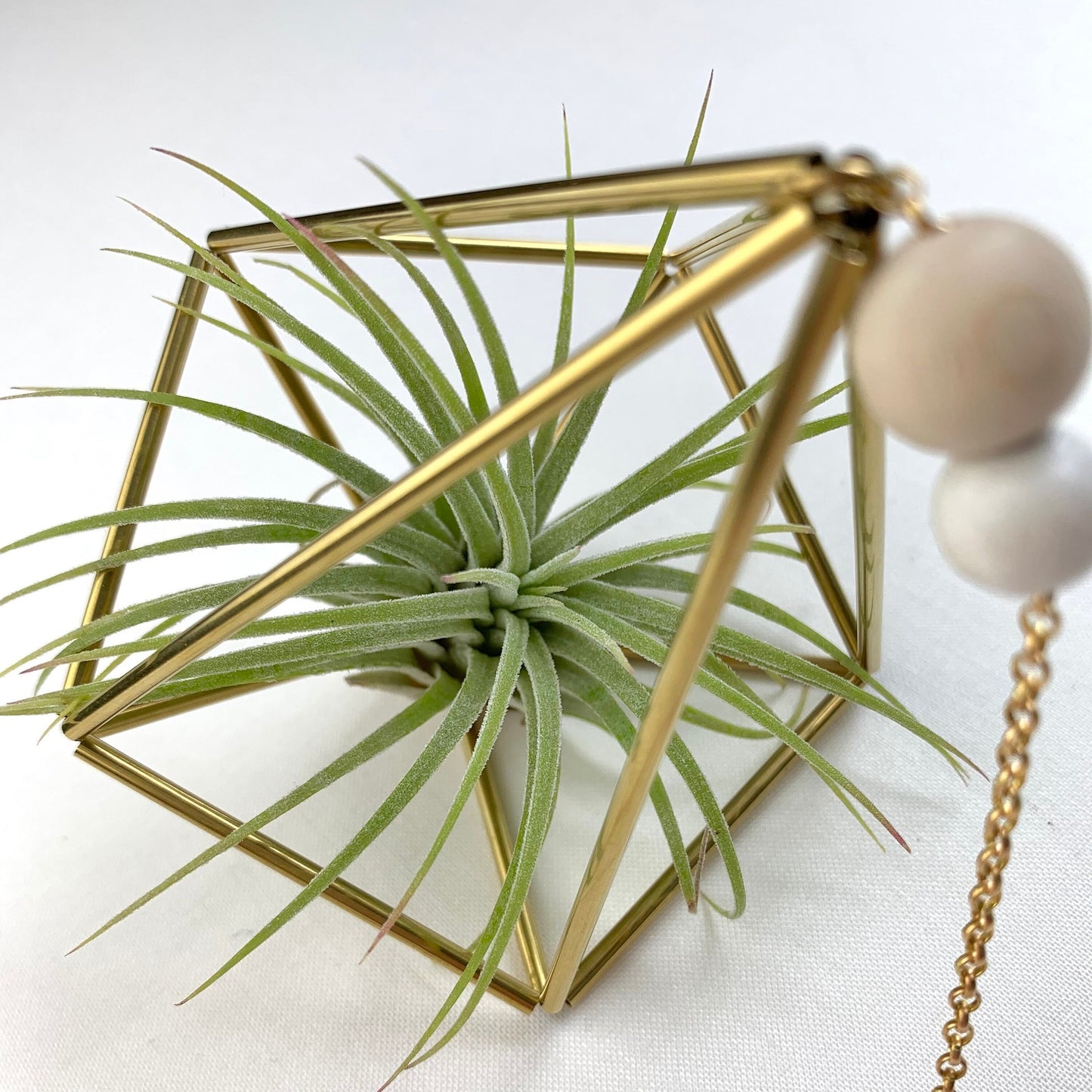 Small Brass Decahedron Air Plant Hanger (without plant)