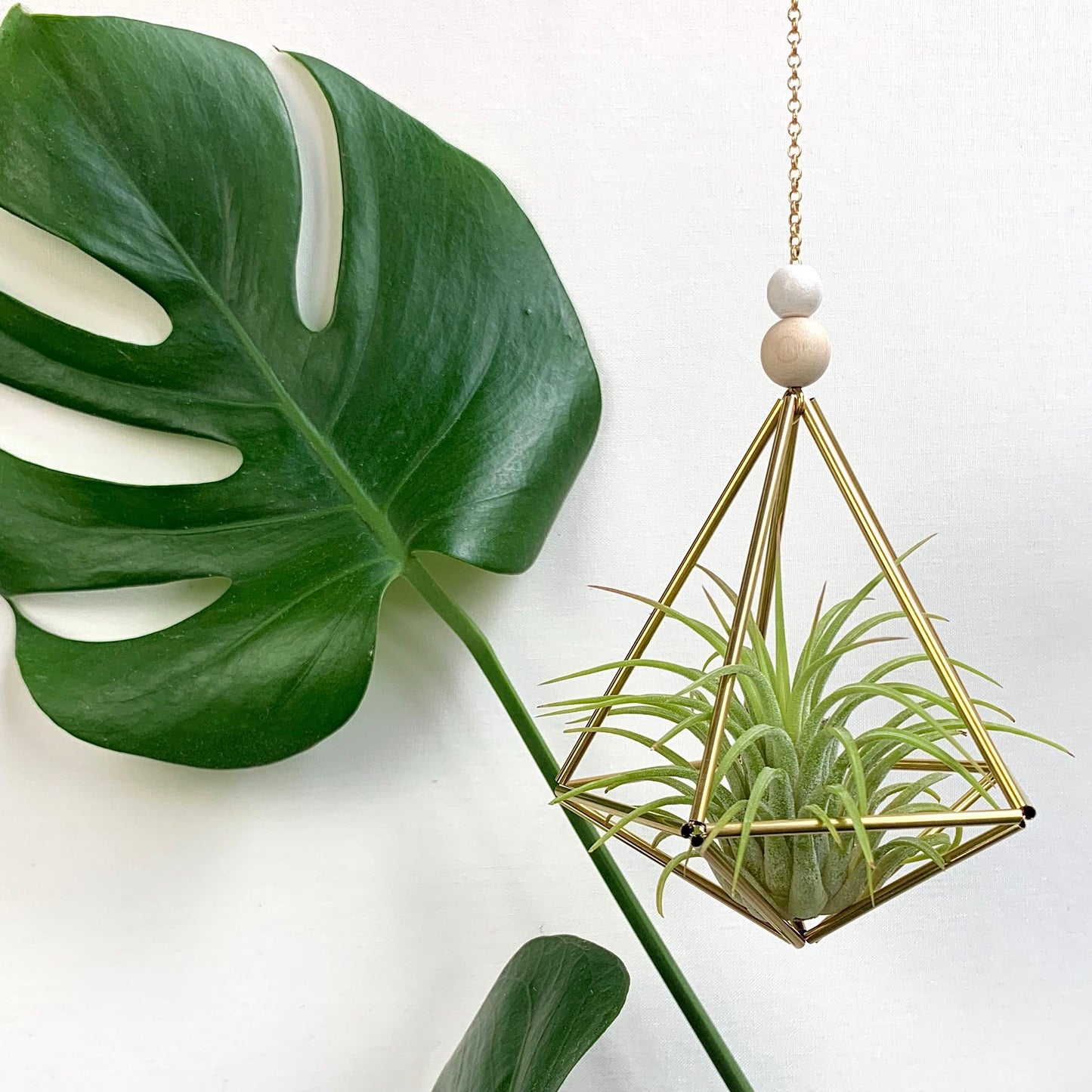 Small Brass Decahedron Air Plant Hanger (without plant)