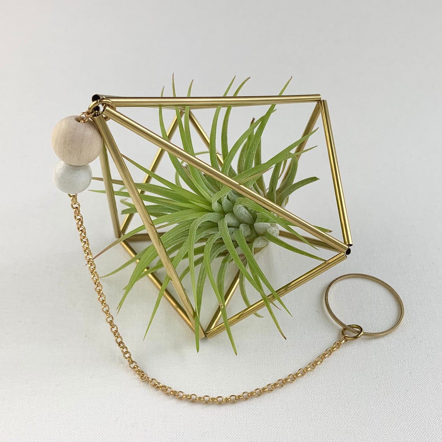 Small Brass Decahedron Air Plant Hanger (without plant)