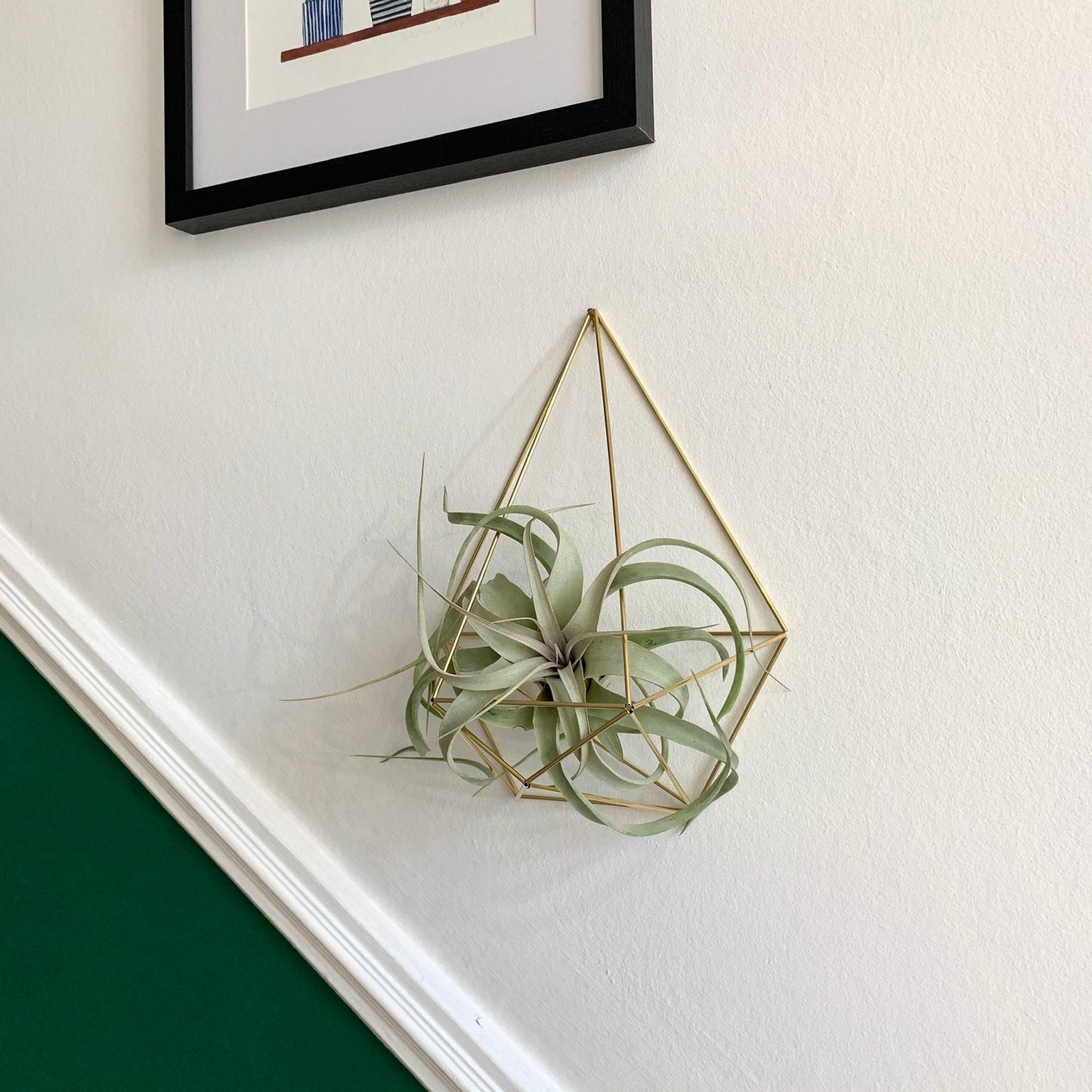 Xerographica Air Plant Holder Wall Sconce (without plant)