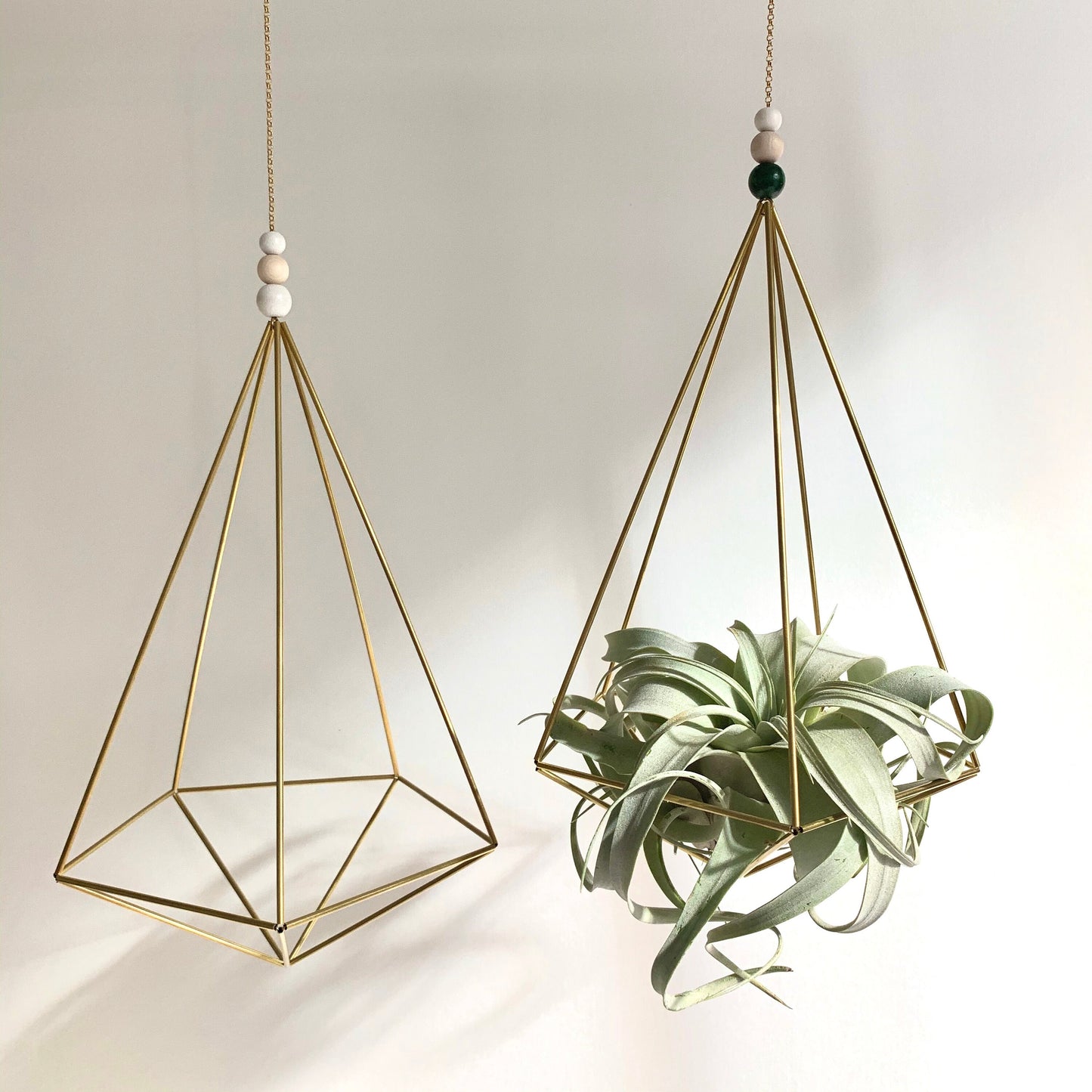 Large Air Plant Hanger (without plant)