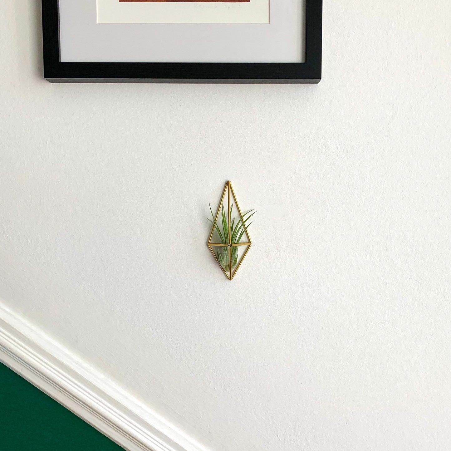 Mini Air Plant Holder Wall Sconce (without plant)