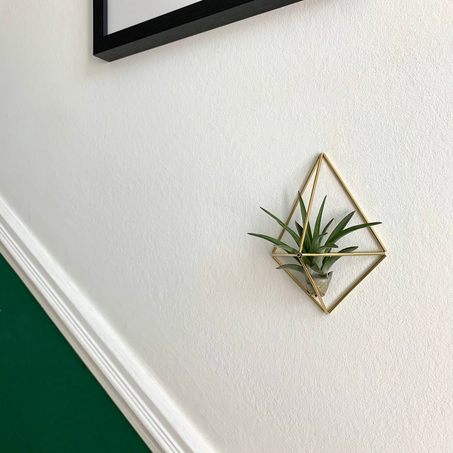 Small Air Plant Holder Wall Sconce (without plant)