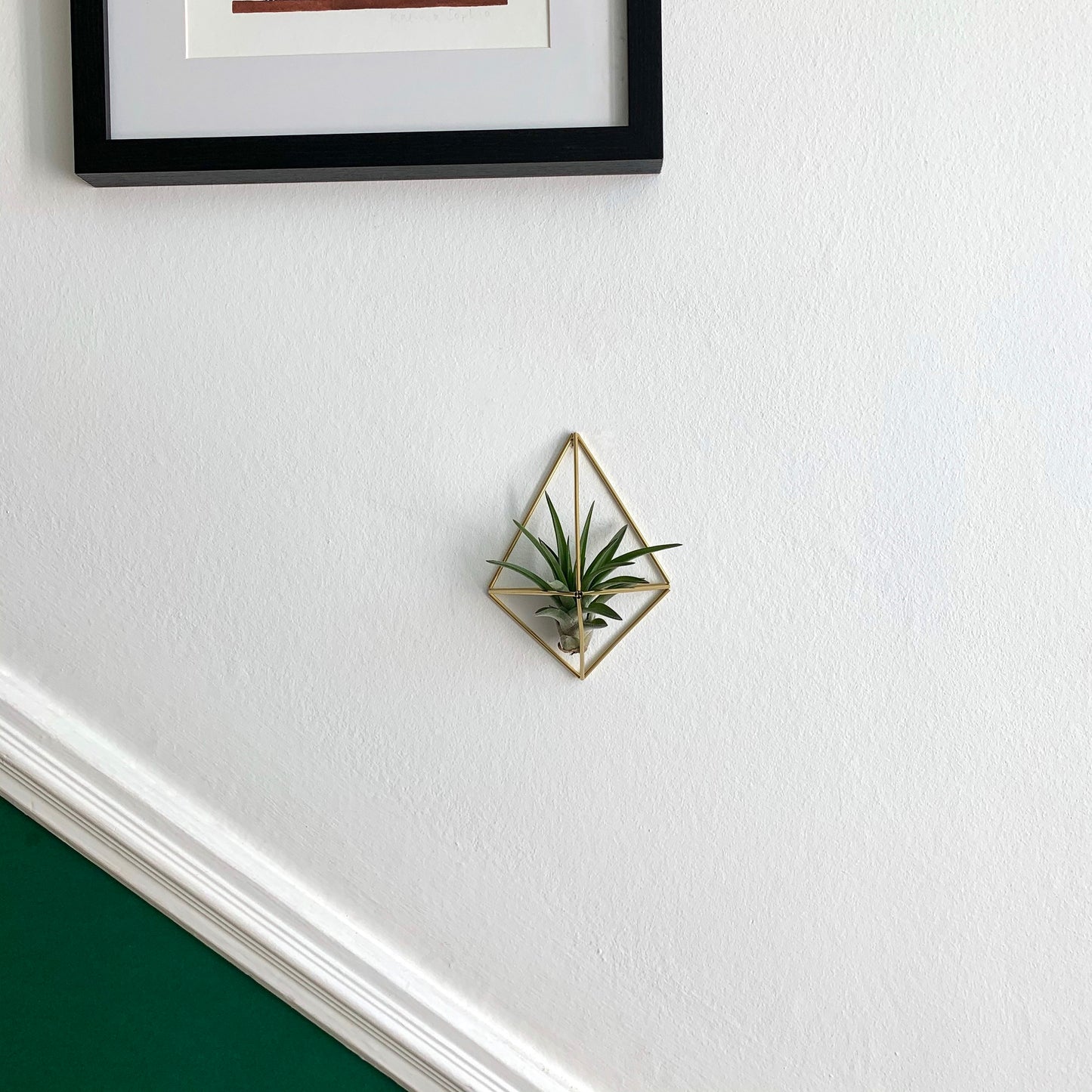 Small Air Plant Holder Wall Sconce (without plant)