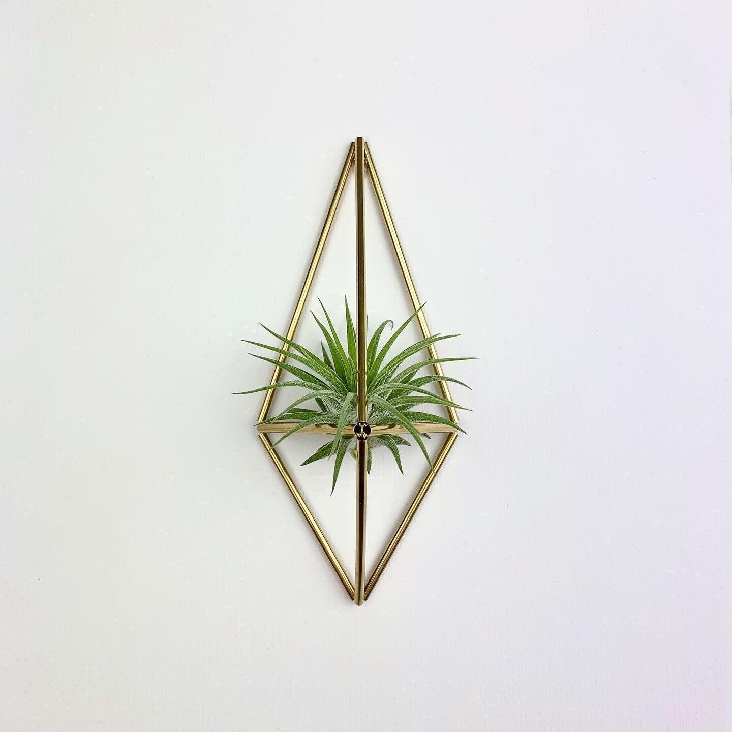 Mini Air Plant Holder Wall Sconce (without plant)