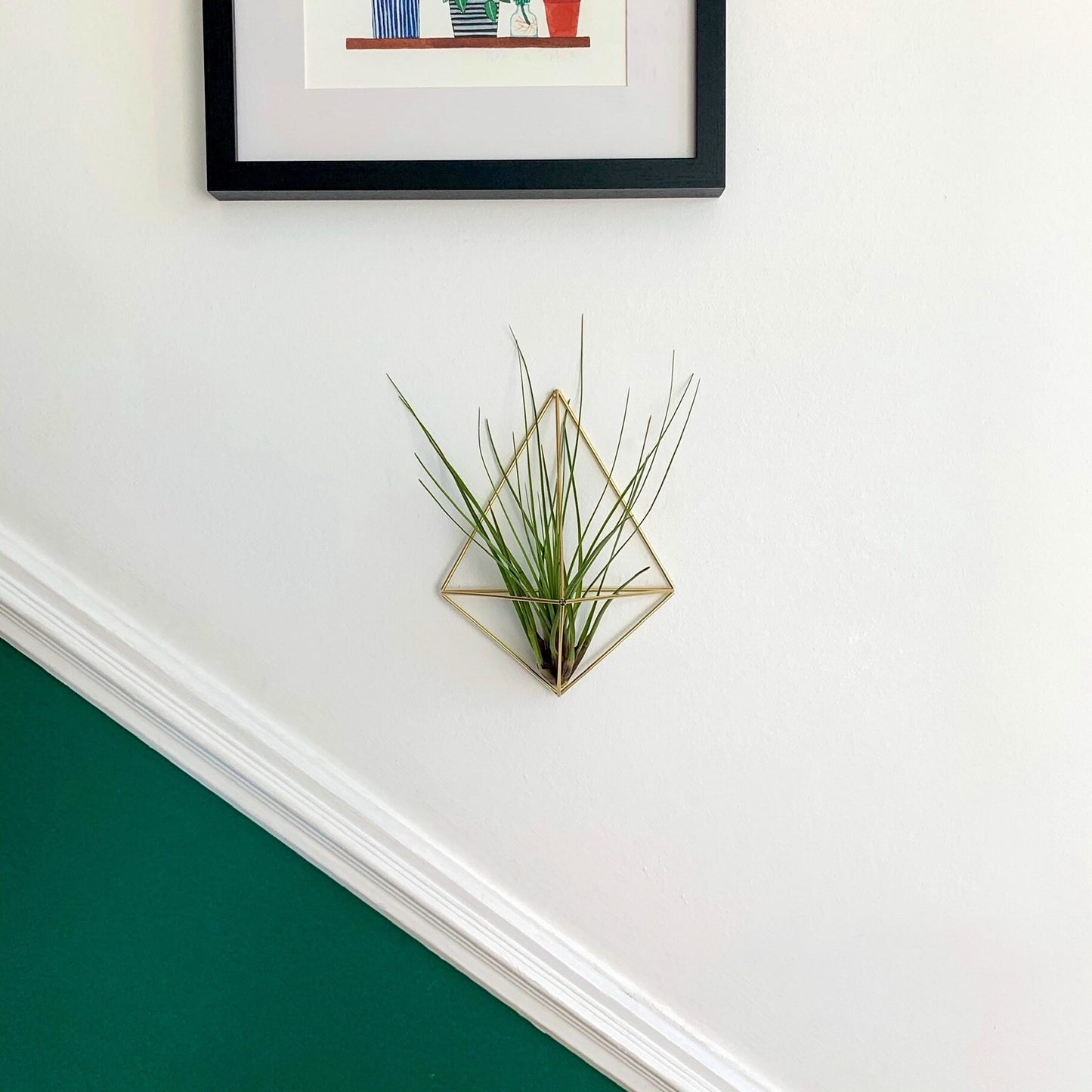 Medium Air Plant Holder Wall Sconce (without plant)